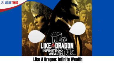 Like A Dragon Infinite Wealth