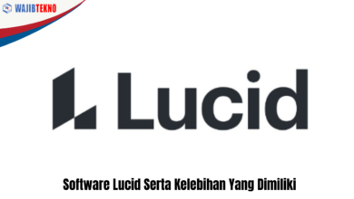 Software Lucid