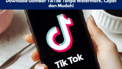Download Gambar TikTok Tanpa Watermark