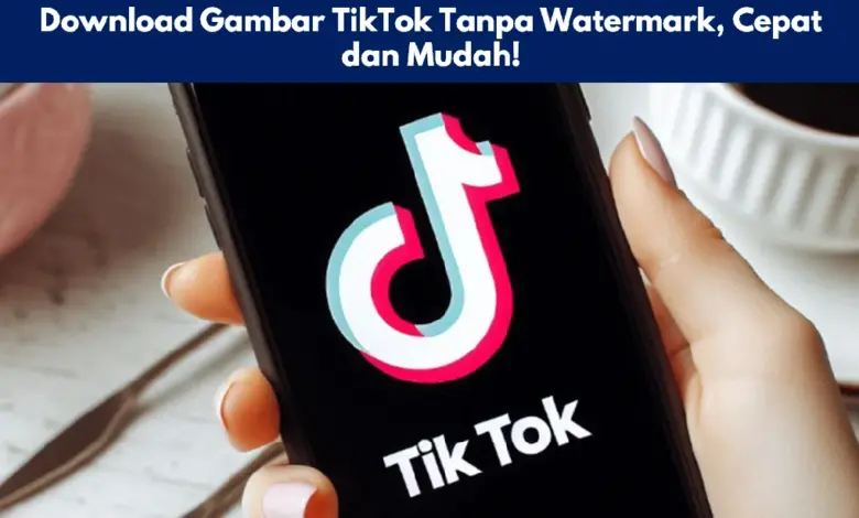 Download Gambar TikTok Tanpa Watermark