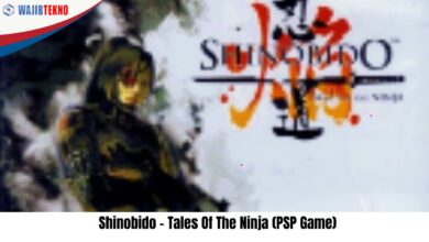 Shinobido – Tales Of The Ninja