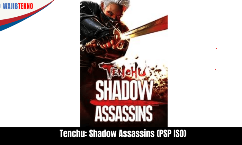 Tenchu Shadow Assassins