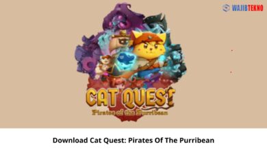 Cat Quest Pirates Of The Purribean