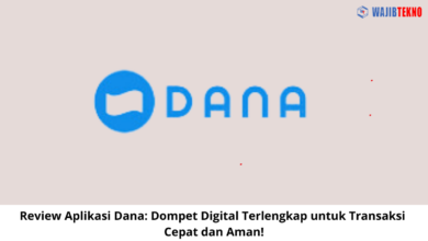 Review Aplikasi Dana