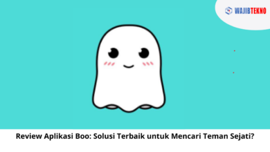 Review Aplikasi Boo