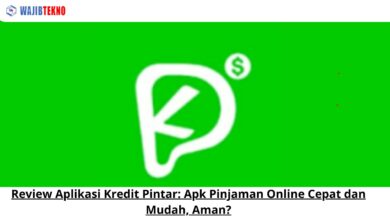 Review Aplikasi Kredit Pintar