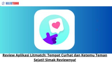 Review Aplikasi Litmatch