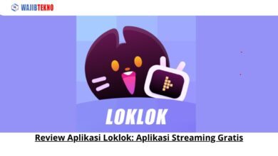 Review Aplikasi Loklok