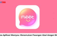 Review Aplikasi Meetyou