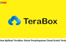 Review Aplikasi TeraBox