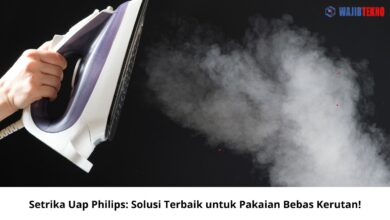 Setrika Uap Philips