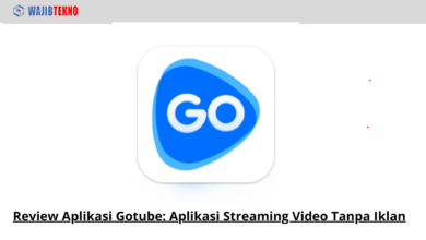 Review Aplikasi Gotube