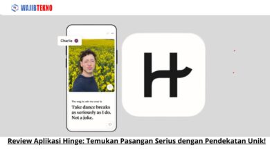 Review Aplikasi Hinge