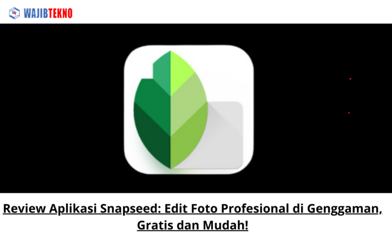 Review Aplikasi Snapseed