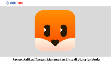 Review Aplikasi Tantan