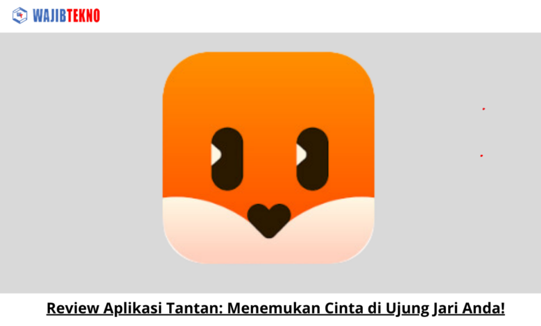 Review Aplikasi Tantan