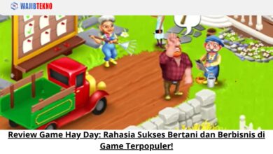 Review Game Hay Day