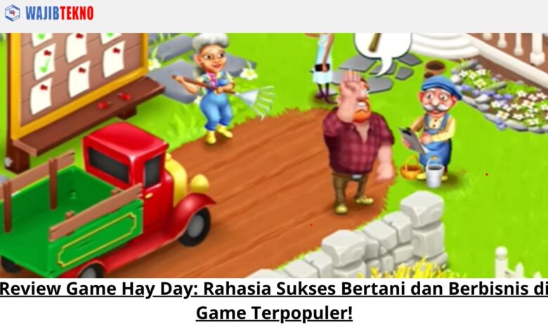 Review Game Hay Day