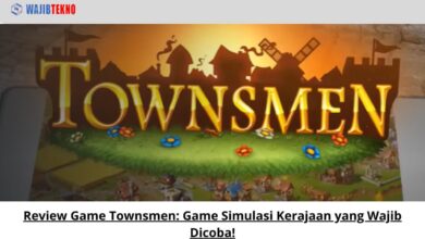 Review Game Townsmen