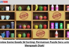 Review Game Goods 3d Sorting