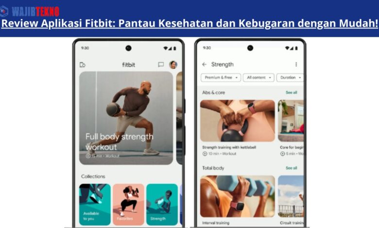 Review Aplikasi Fitbit