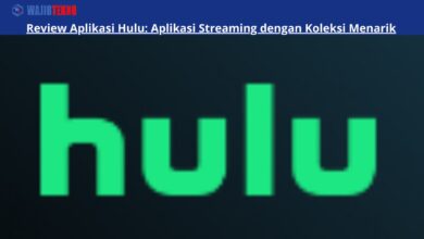 Review Aplikasi Hulu