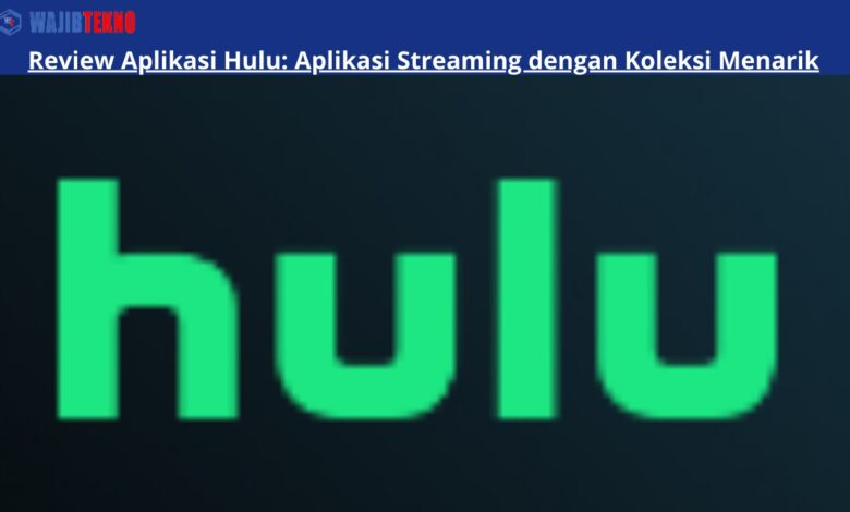 Review Aplikasi Hulu