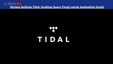 Review Aplikasi Tidal