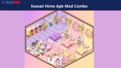 Kawaii Hime Apk Mod Combo