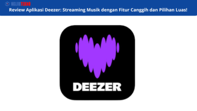 Review Aplikasi Deezer