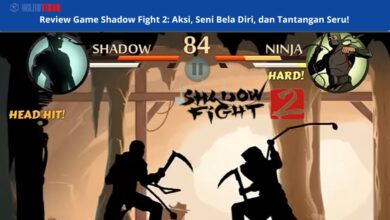 Review Game Shadow Fight 2