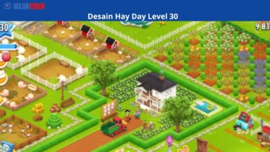 Desain Hay Day Level 30