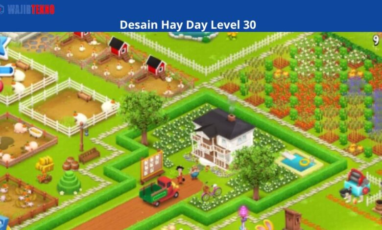 Desain Hay Day Level 30