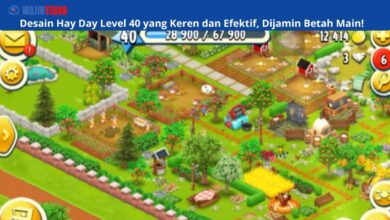 Desain Hay Day Level 40