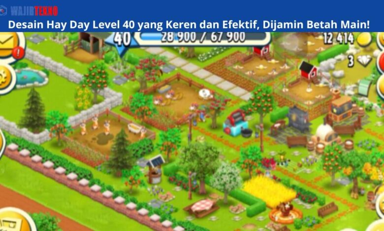 Desain Hay Day Level 40