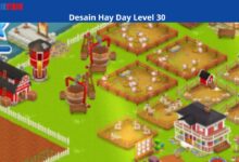 Desain Hay Day Level 50