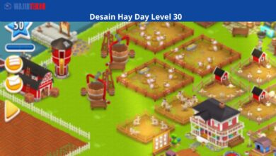 Desain Hay Day Level 50