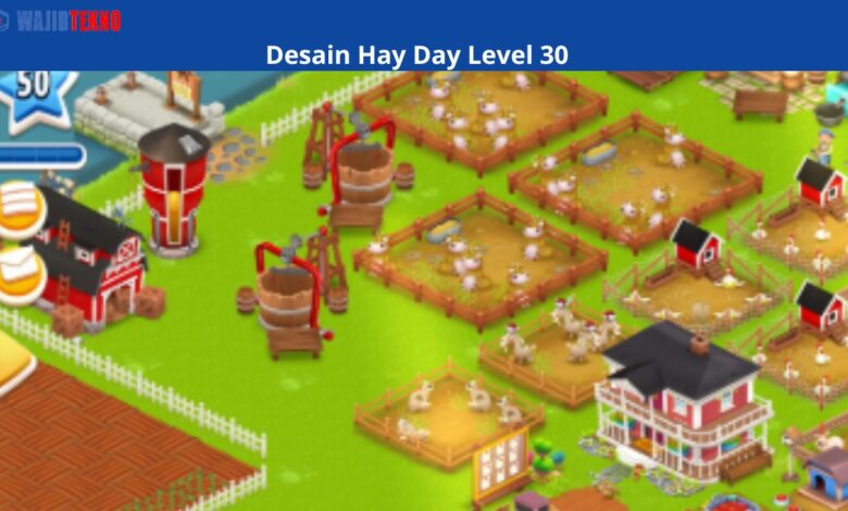 Desain Hay Day Level 50