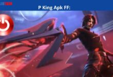 P King Apk FF