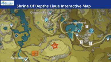 Shrine Of Depths Liyue Interactive Map