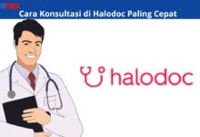 Cara Konsultasi di Halodoc