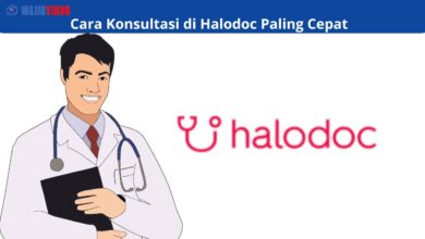 Cara Konsultasi di Halodoc