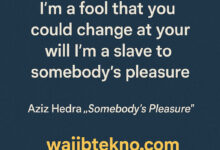 Lirik Lagu Aziz Hedra Somebody's Pleasure