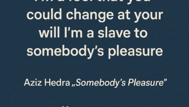 Lirik Lagu Aziz Hedra Somebody's Pleasure