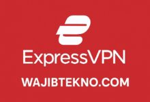 ExpressVPN